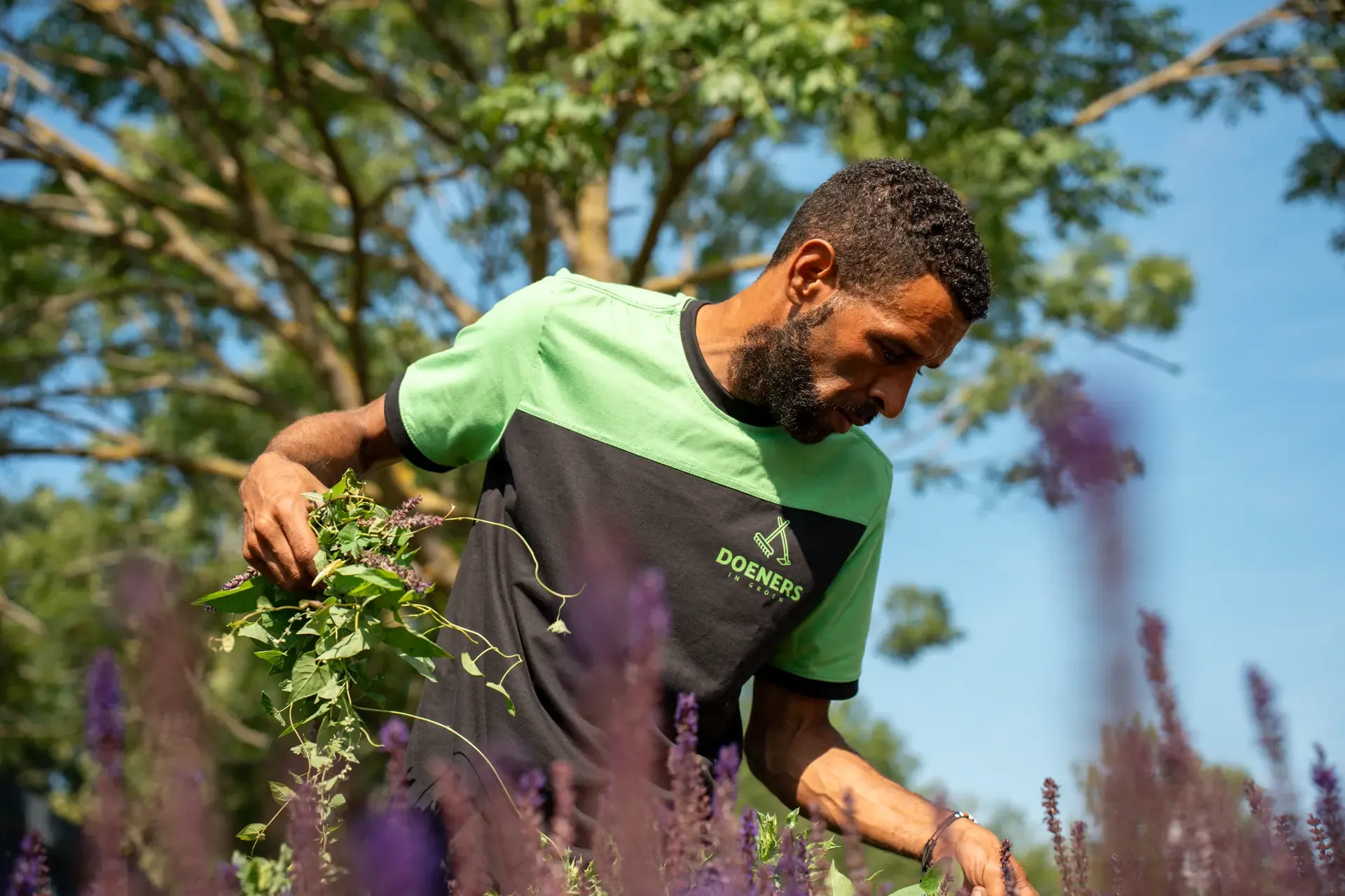 5 sollicitatietips voor de groensector